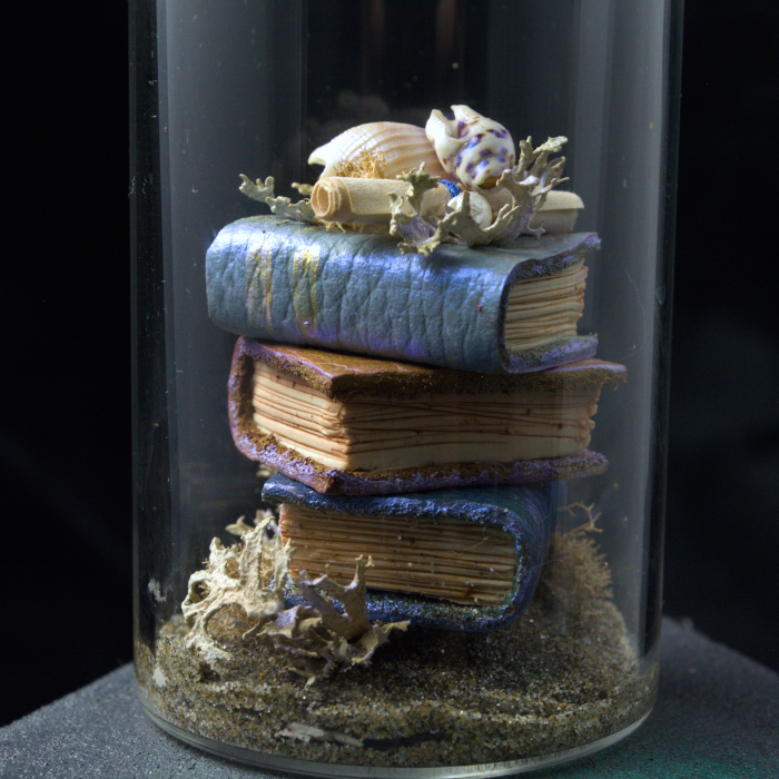 A photo of the Opal Sea spellbound study